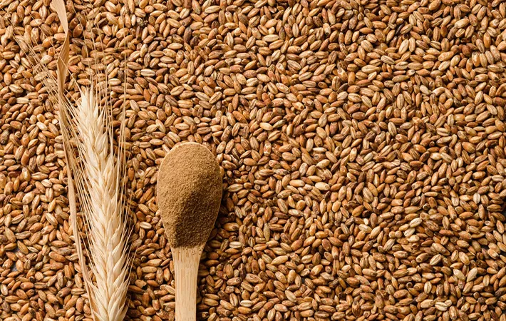 代用コーヒーが広まるきっかけになったのは？