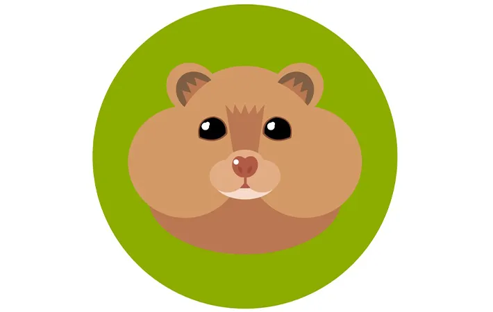 キンクマハムスターのイメージ画像