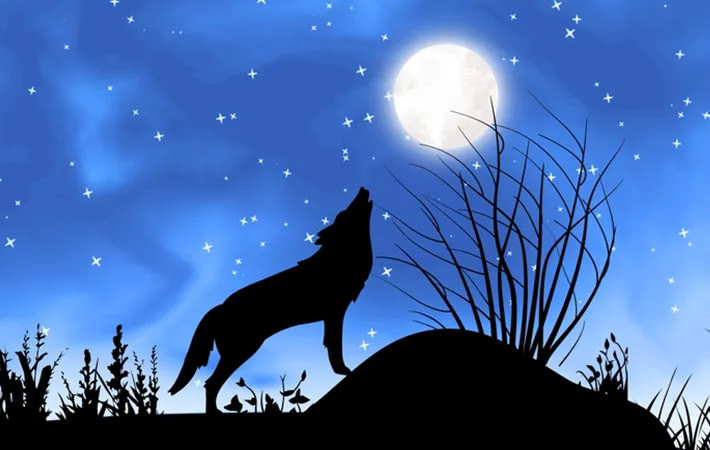 満月の呼び方は月ごとに異なる！