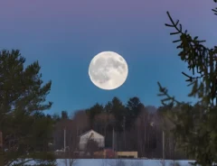 【2025年】コールドムーンとは？いつ見える？名前の意味や由来、スピリチュアルな部分も紹介！