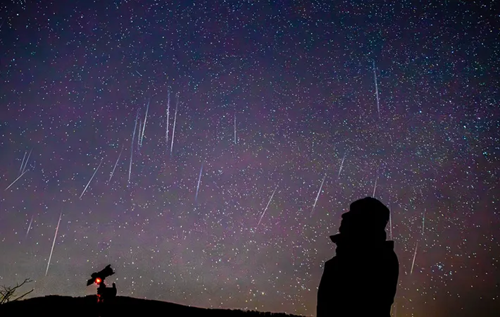 どこで見るのがよい？