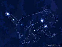 【2025年】こぐま座流星群はいつがピーク？時間や方角、観測のコツまで徹底解説！