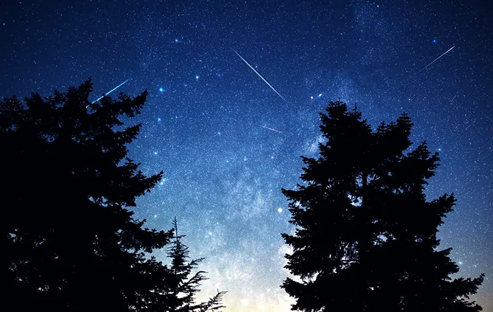 2026年のピーク時間帯はいつ？