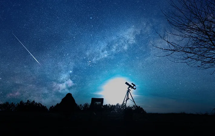 今年はどれくらい見える？