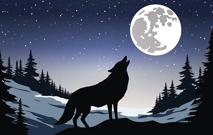 ウルフムーンの意味や由来とは？