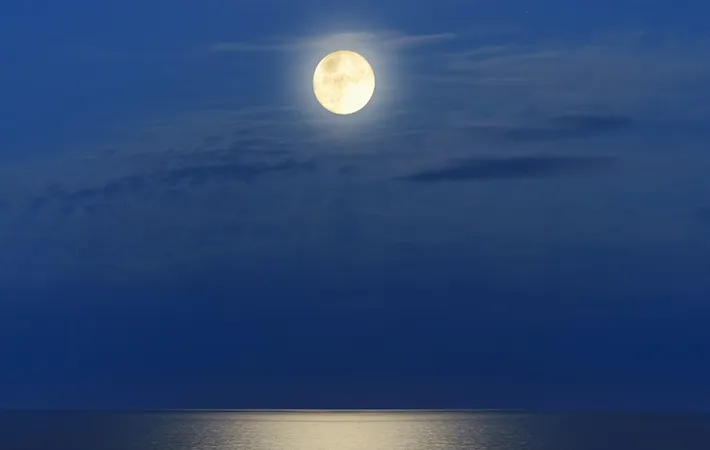 今年のウルフムーンはいつ見られる？