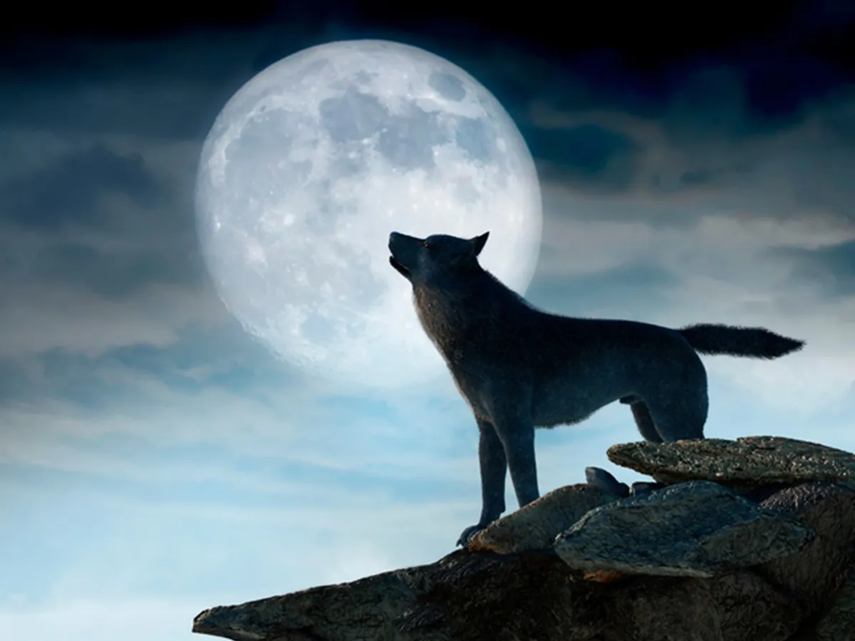 1月の満月『ウルフムーン』とは？名前の由来やスピリチュアルな意味、願い事についても紹介！