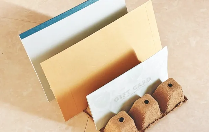 『ダイソー リサイクル紙ポット』の使用写真（撮影：キジカク）