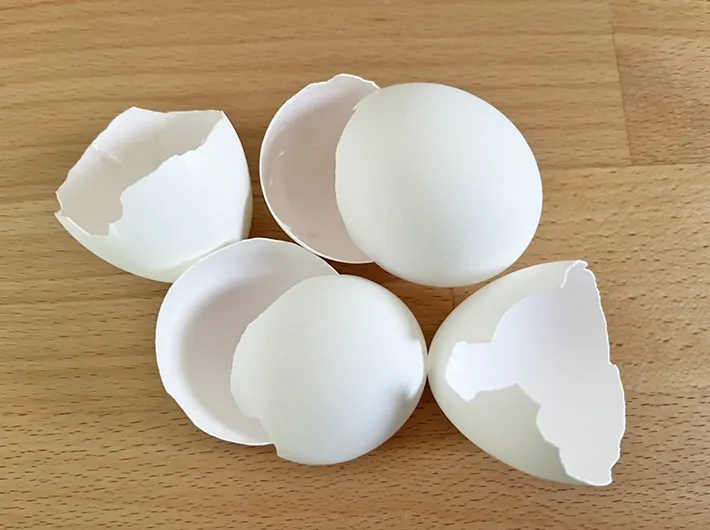 卵の殻の写真（撮影：grapeライフハック編集部）
