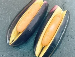 ナスドッグの写真(撮影:キジカク)