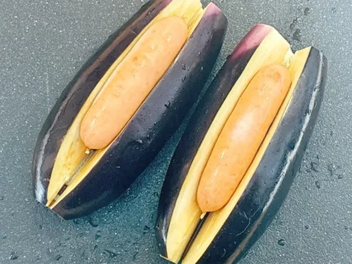 ナスドッグの写真(撮影:キジカク)