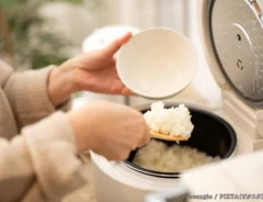 炊飯器の写真