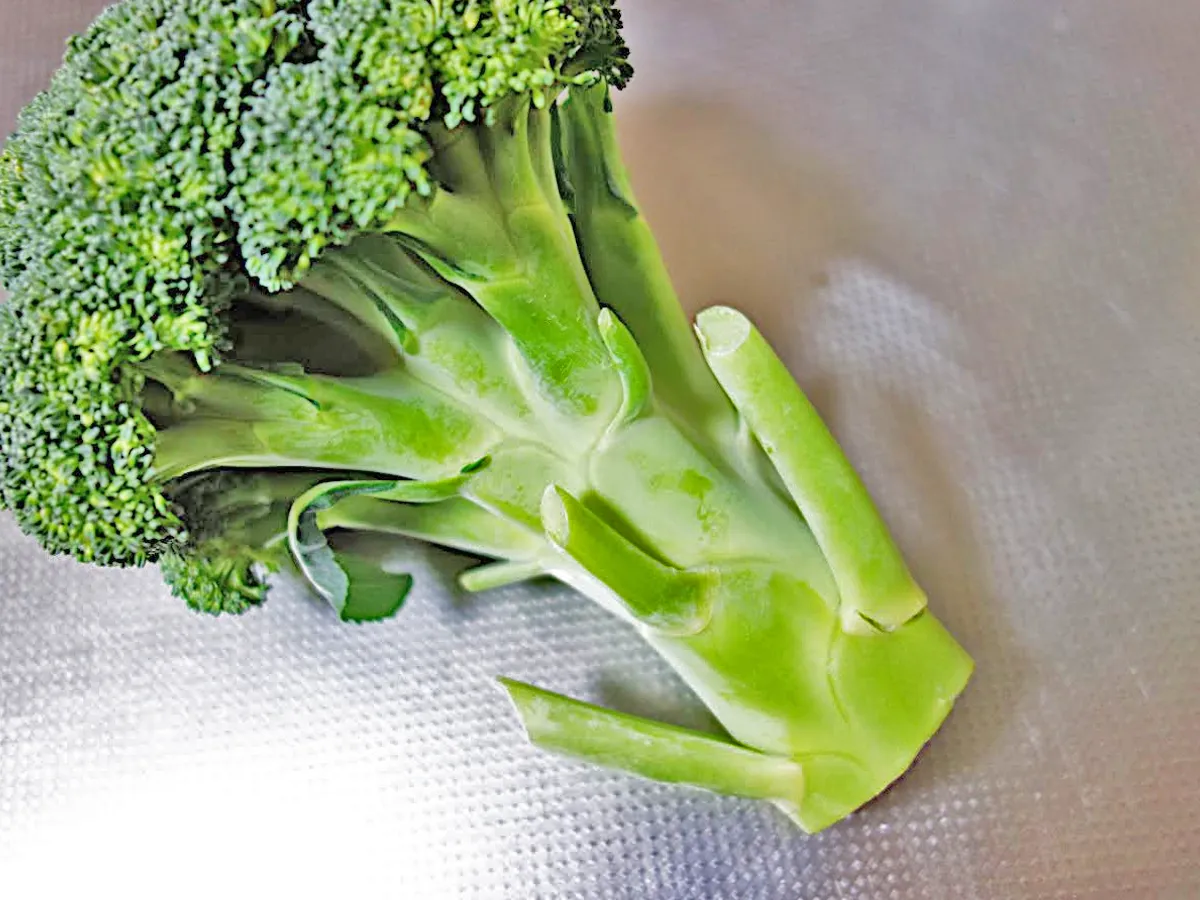ブロッコリーの写真(撮影:エニママ)