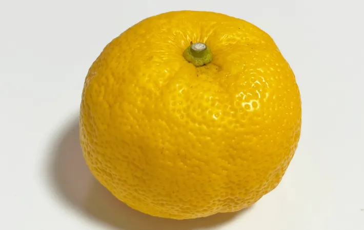 ゆずの写真（撮影：エニママ）