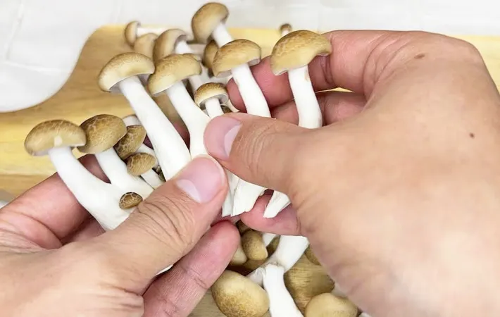 『サバ缶と濃厚みその炊き込みご飯』を作る写真（撮影：キジカク）