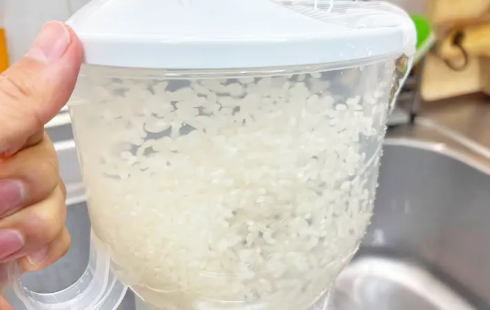 『ダイソー ぐるぐる舞米』の使用写真（撮影：キジカク）