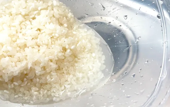 『ダイソー ぐるぐる舞米』の使用写真（撮影：キジカク）