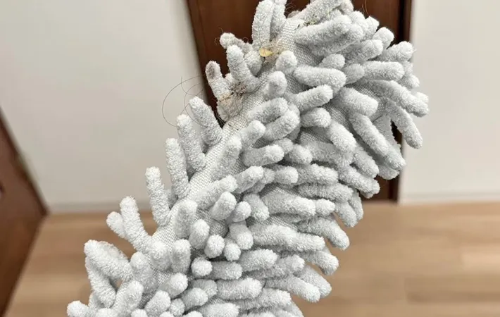 『ハンディモップ』の使用写真（撮影：キジカク）