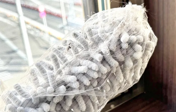 『ハンディモップに排水口ネットをかぶせて使う』写真（撮影：キジカク）