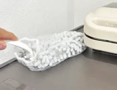 モップの写真（撮影：キジカク）