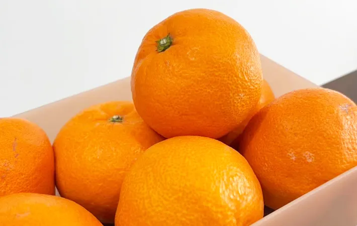 『箱に入ったみかん』の写真（撮影：キジカク）