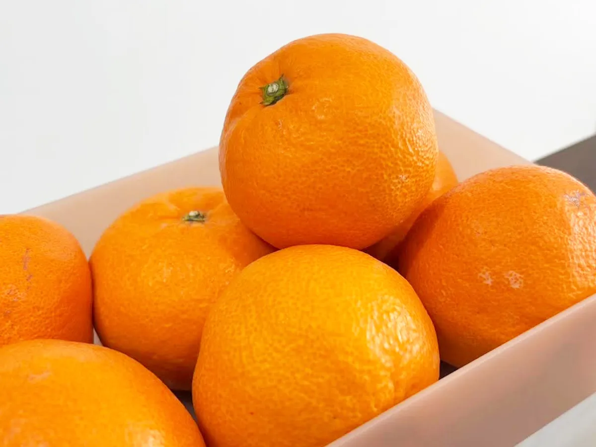 『箱に入ったみかん』の写真(撮影:キジカク)
