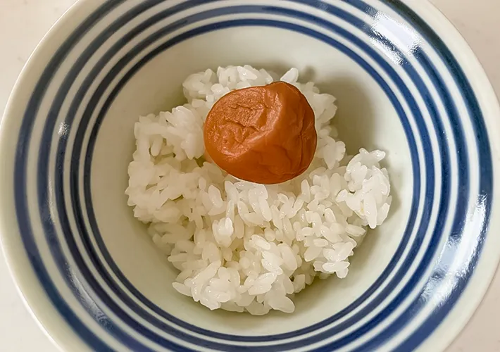 ご飯に具をのせた写真（撮影：エニママ）