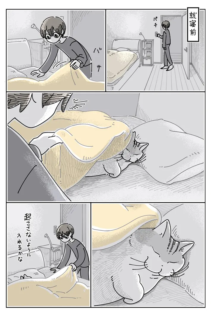 就寝前の猫を描いた漫画の写真