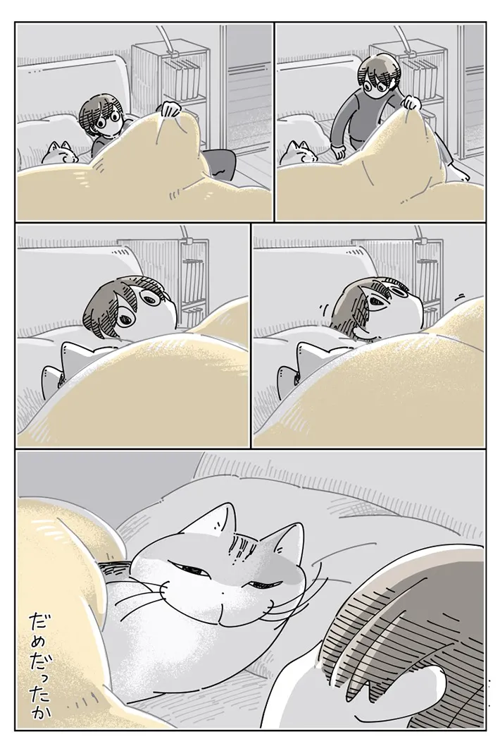 就寝前の猫を描いた漫画の写真