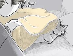 就寝前の猫を描いた漫画の写真