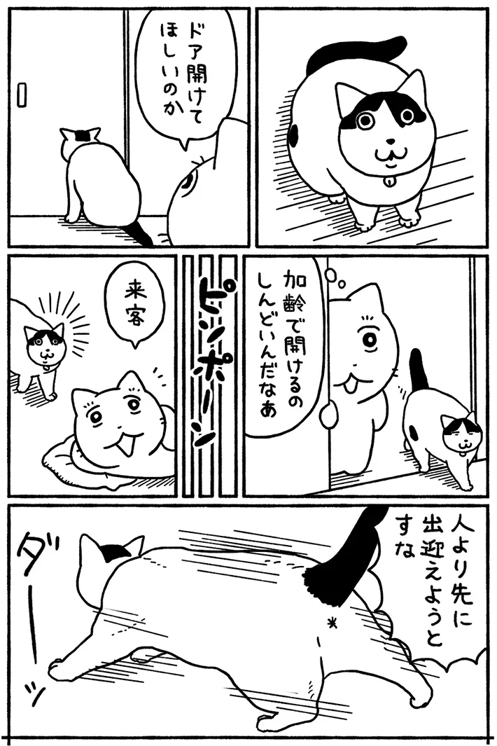 猫の日常を描いた漫画の写真