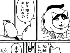 猫の日常を描いた漫画の写真