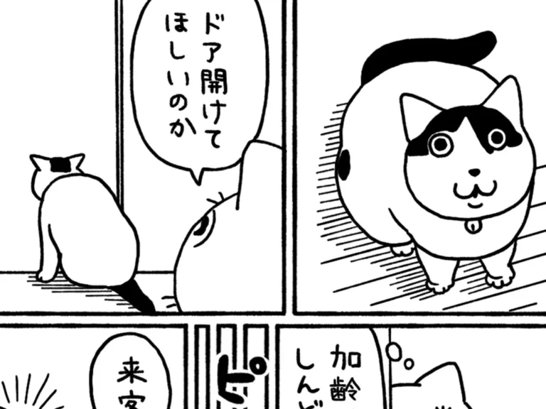 猫の日常を描いた漫画の写真
