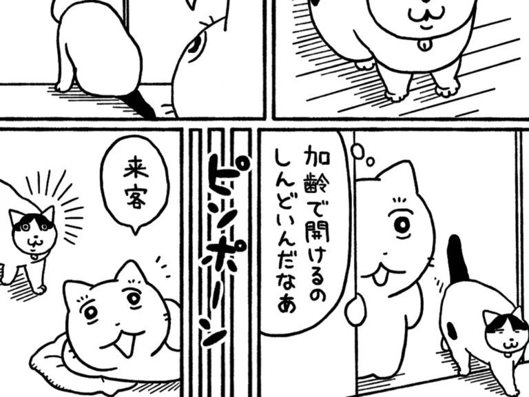 猫の日常を描いた漫画の写真