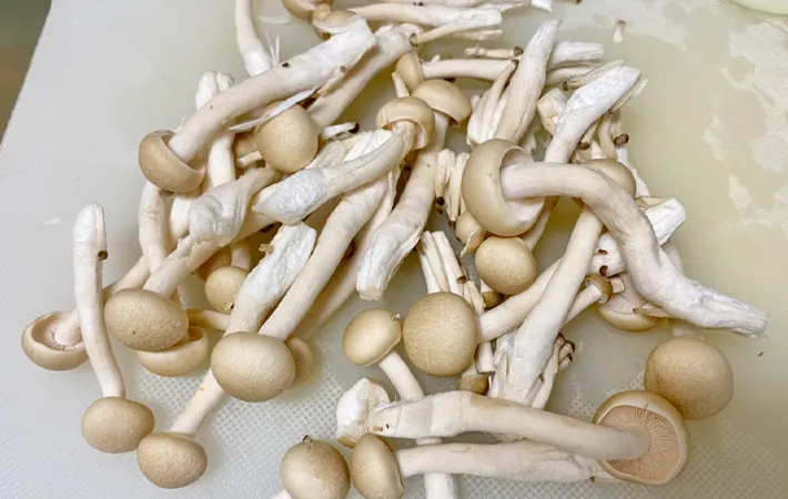 『カルボナーラ風きのことほうれん草のスープ野菜』を作る写真（撮影：エニママ）