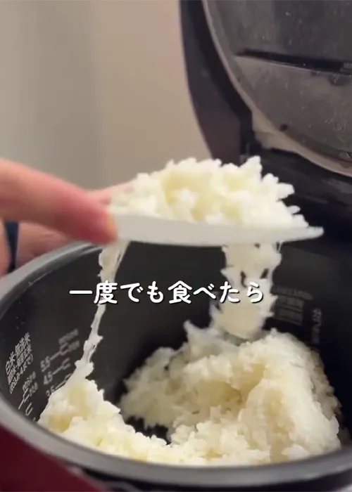 『もち塩むすび』の調理写真