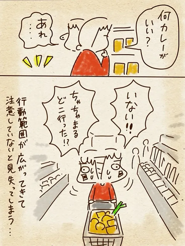 ちゃずさんの漫画の画像