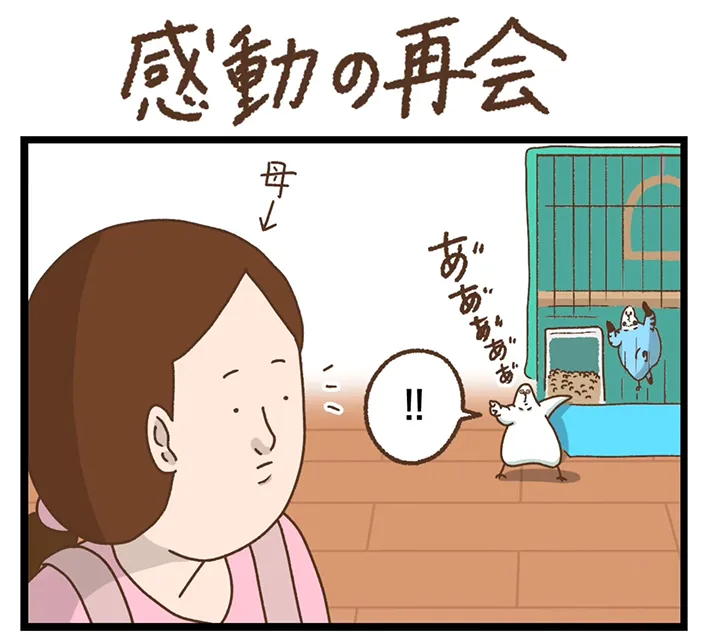 タクセニョリータさんの漫画の画像