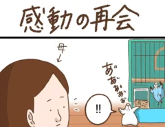 タクセニョリータさんの漫画の画像