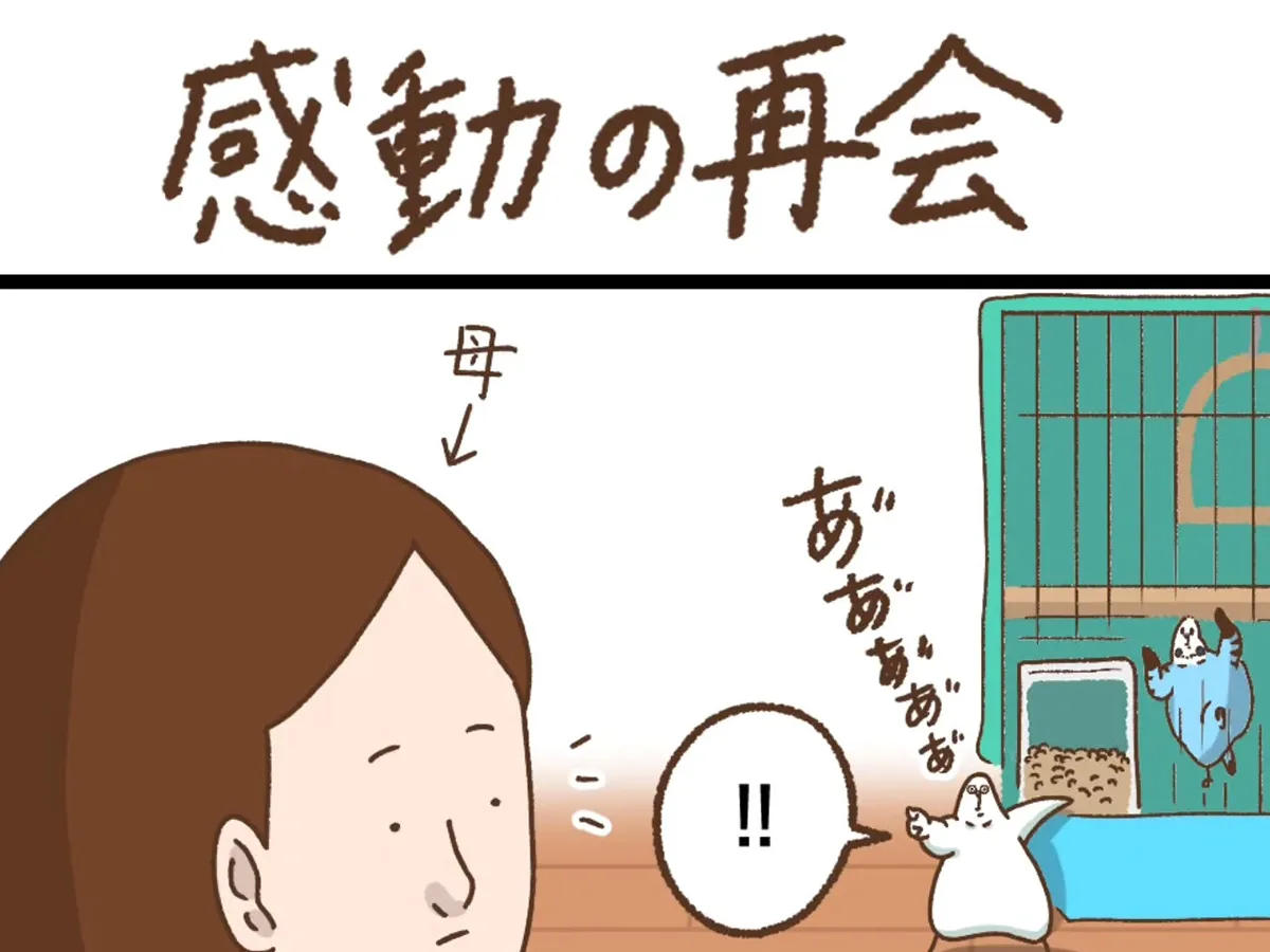 タクセニョリータさんの漫画の画像