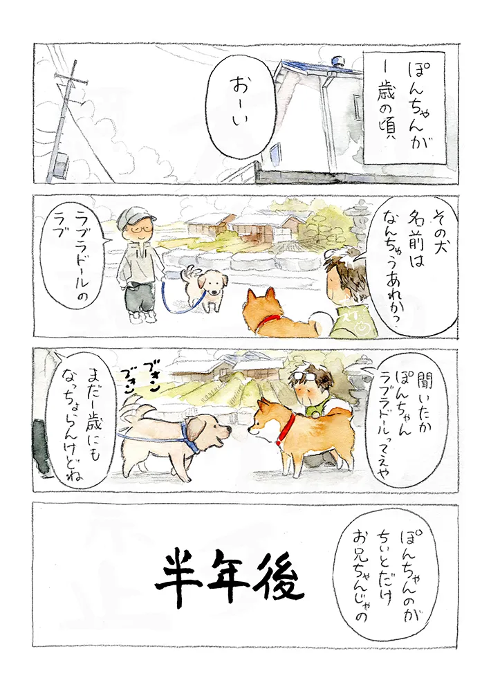 犬山スケッチさんの漫画の画像