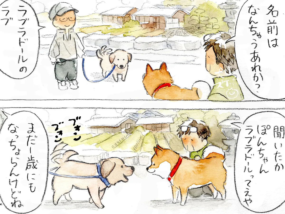 犬山スケッチさんの漫画の画像