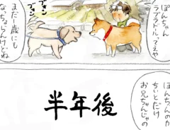 犬山スケッチさんの漫画の画像