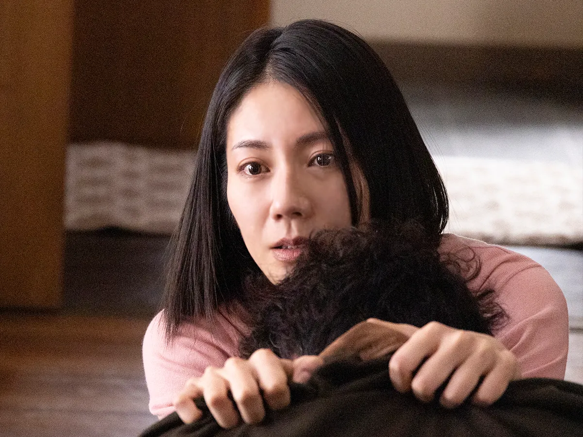 『夫に間違いありません』に出演する松下奈緒さんが写る場面写真