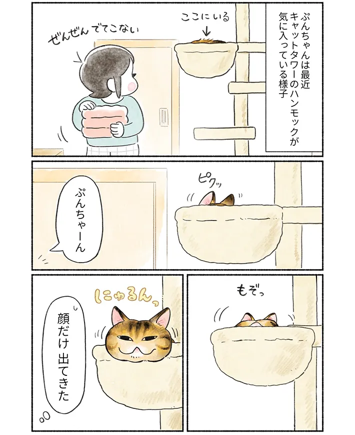 山麦まくらさんの漫画の画像