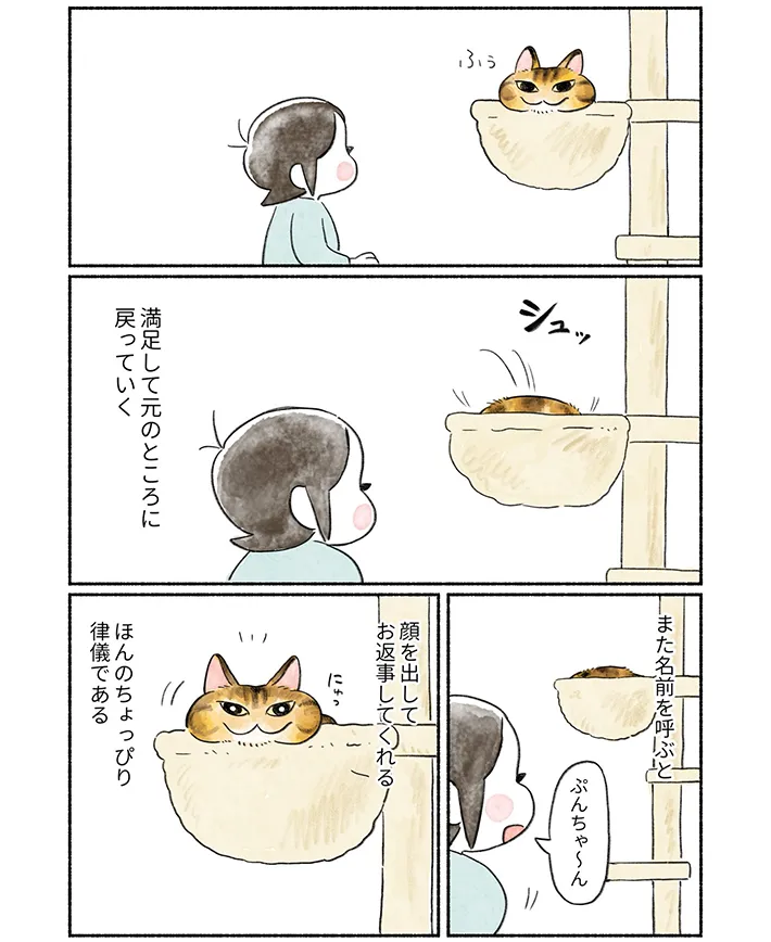 山麦まくらさんの漫画の画像