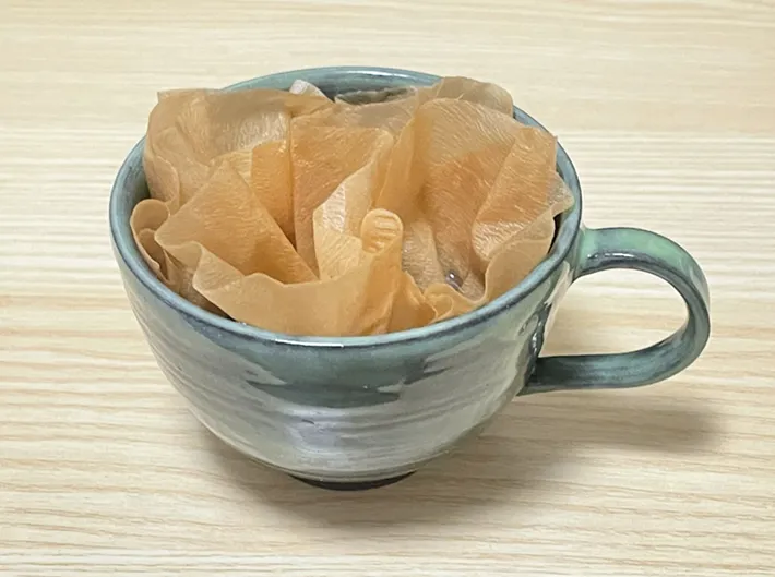 コーヒーフィルターを使ったペーパー加湿器の写真（撮影：grapeライフハック編集部）