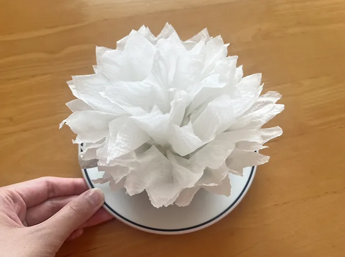 キッチンペーパーの写真（撮影：grapeライフハック編集部）