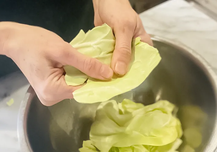 キャベツをちぎる写真