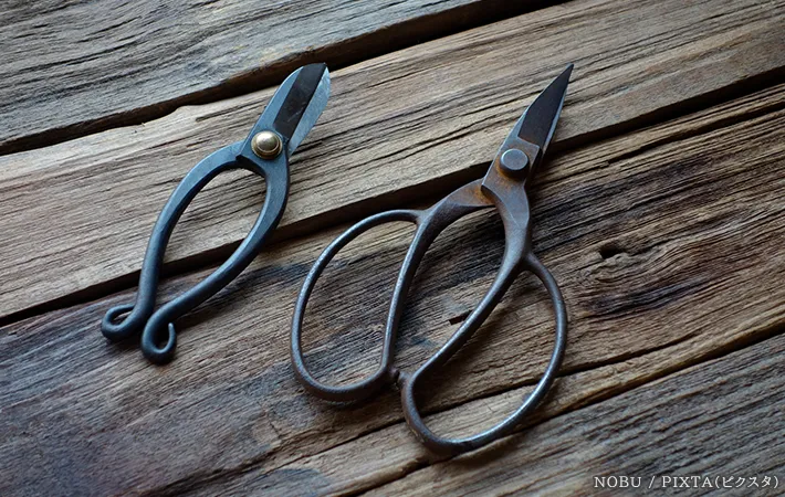 花ばさみの写真